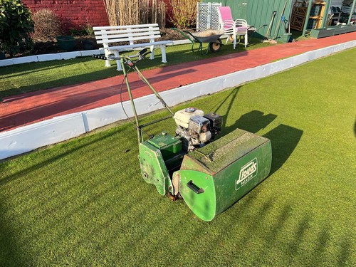 Paladin lawn mower working - lawn,