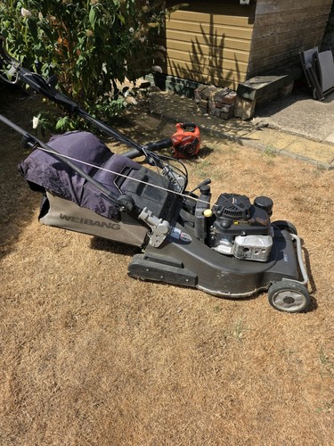 Petrol self propelled lawn - self-propelled,